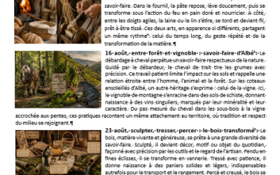 Les animations estivales au musée