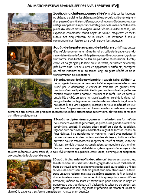 Les animations estivales au musée