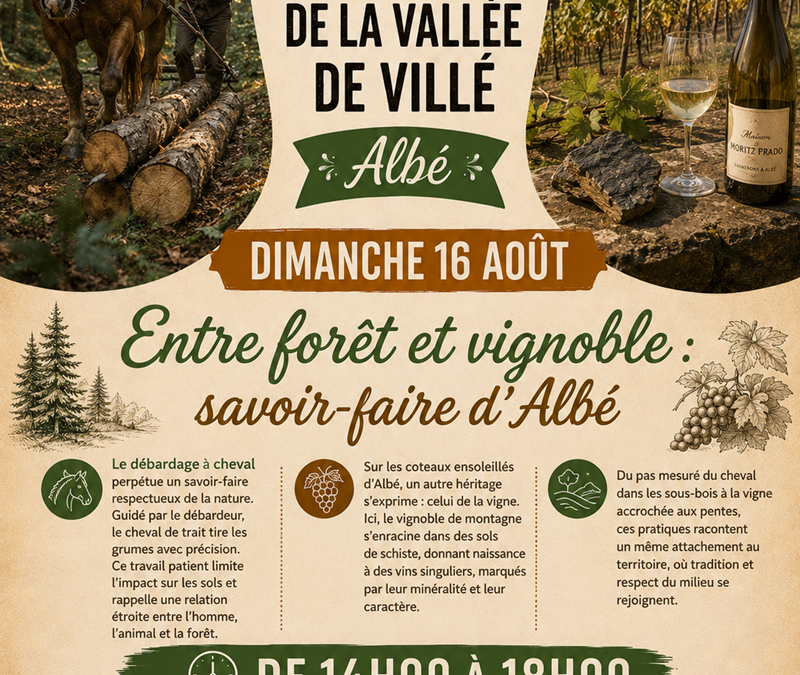 Dimanche 16 août, entre forêt et vignoble : savoir-faire d’Albé :
